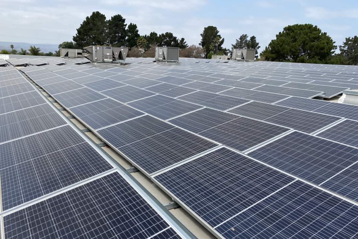 Rows of solar panels on a commercial roof